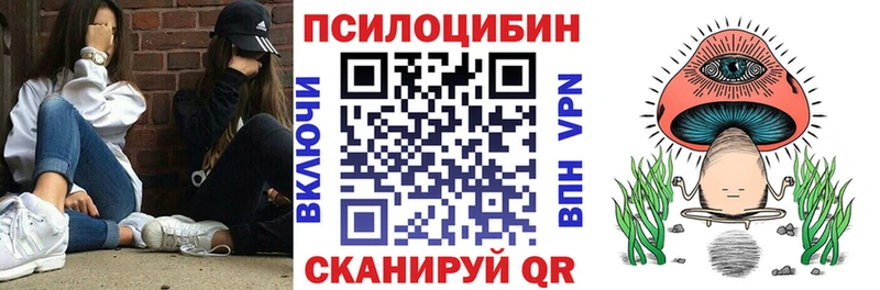 закладка  Ачхой-Мартан  Псилоцибиновые грибы Psilocybe 